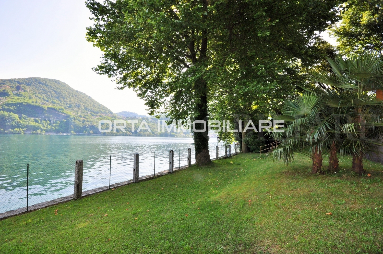 Orta 4