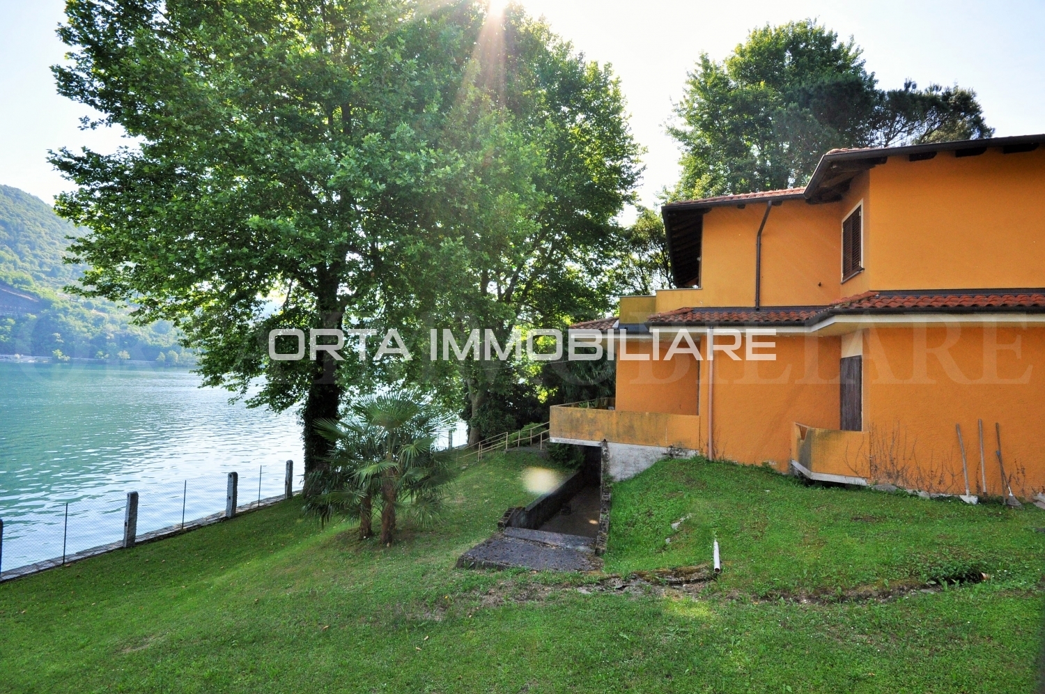 Orta 6