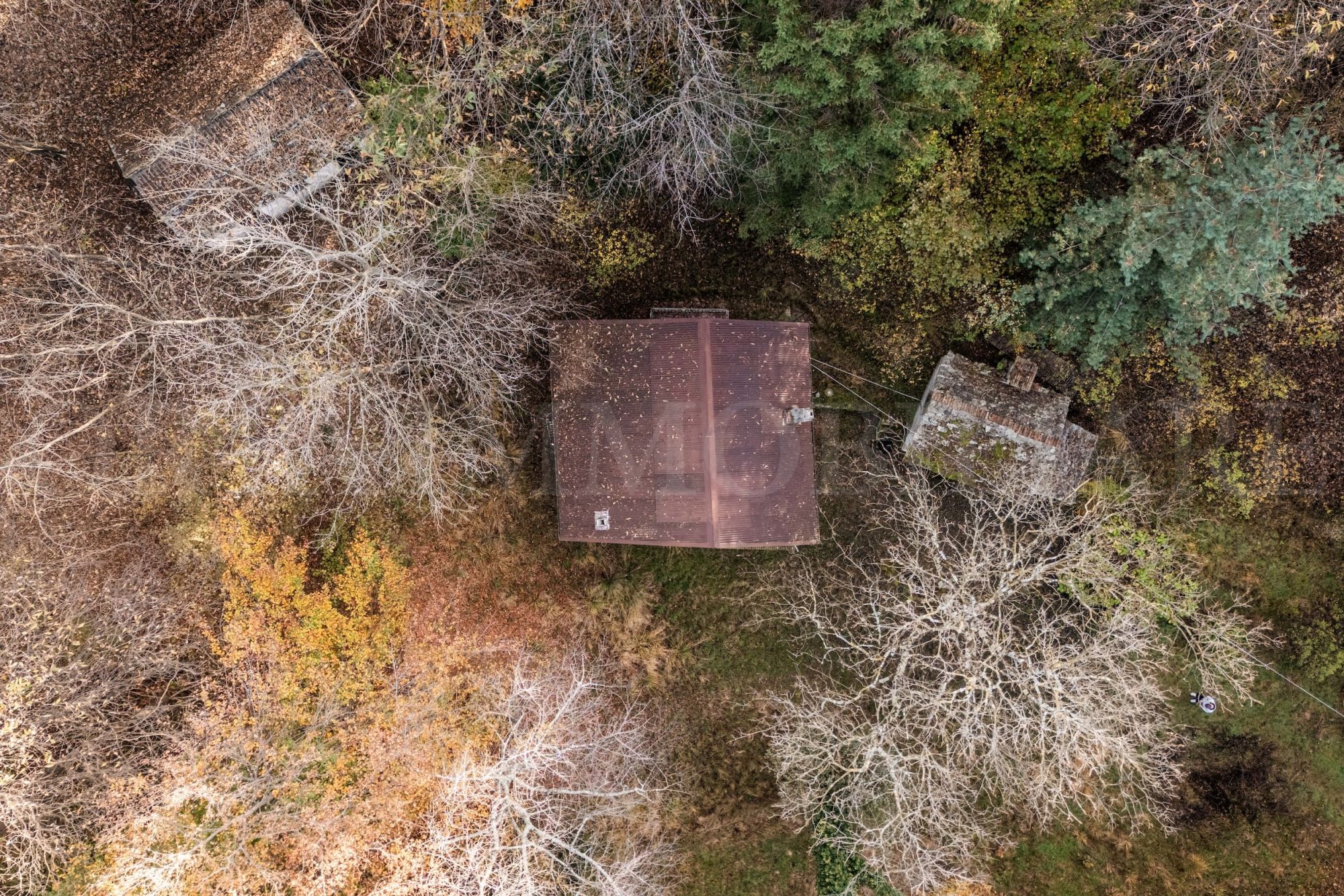 DJI_20241106092501_0242_D copia
