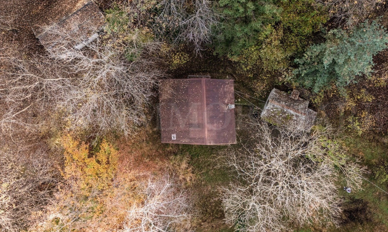 DJI_20241106092501_0242_D copia
